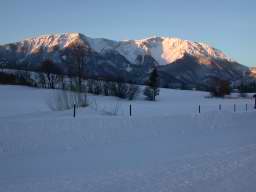 DSCN4290.JPG