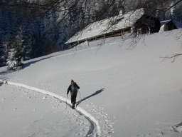 DSCN4295.JPG