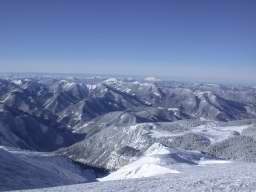 DSCN4320.JPG