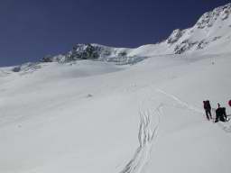 DSCN5017.jpg