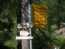 DSCN5763.JPG