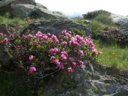DSCN5774.JPG