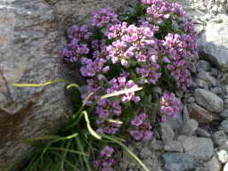 DSCN5808.JPG