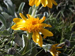 DSCN5810.JPG