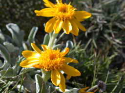 DSCN5811.JPG