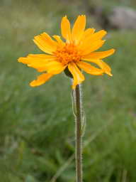 DSCN5980.JPG