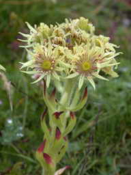 DSCN5984.JPG