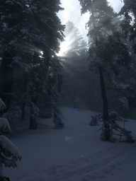DSCN7160.JPG