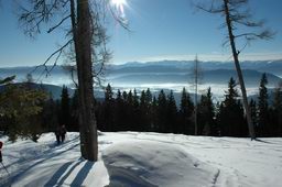 DSC_0642.JPG