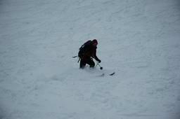 DSC_5684.JPG
