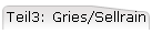 Teil3: Gries/Sellrain