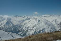 DSC_6317.JPG