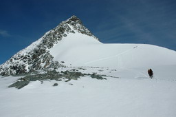 DSC_7074.JPG