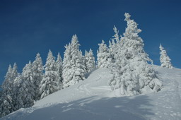 DSC_8738.JPG