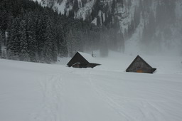DSC_9100.JPG