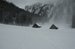 DSC_9101.JPG