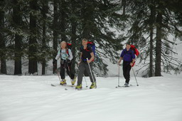 DSC_9104.JPG