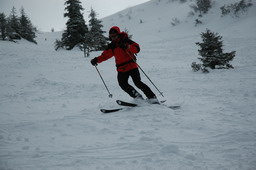 DSC_9122.JPG