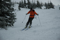 DSC_9131.JPG