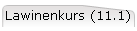 Lawinenkurs (11.1)