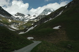 DSC_1150.JPG