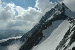 DSC_1239.JPG