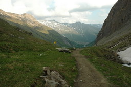 DSC_1247.JPG