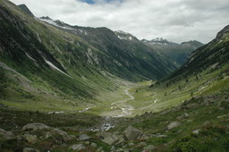 DSC_1443.JPG