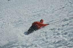 DSC_1712.JPG