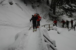 DSC_3805.JPG