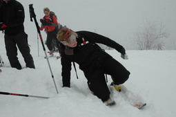DSC_3815.JPG