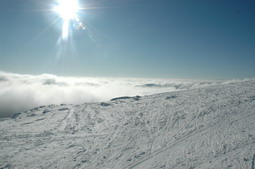 DSC_3831.JPG