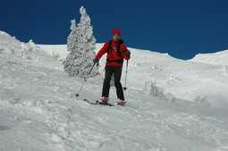 DSC_3837.JPG