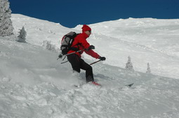 DSC_3838.JPG