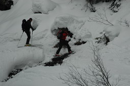 DSC_3847.JPG