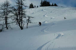 DSC_3943.JPG