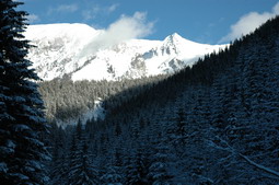 DSC_4261.JPG
