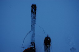 DSC_4267.JPG