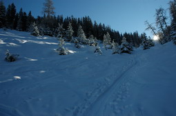 DSC_4270.JPG