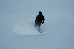 DSC_4292.JPG