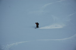 DSC_4294.JPG