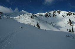 DSC_4309.JPG