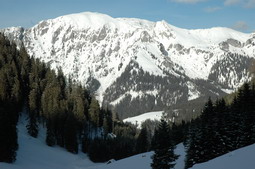 DSC_4343.JPG