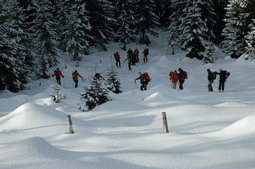 DSC_4168.JPG