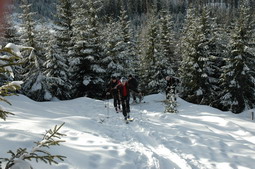 DSC_4174.JPG