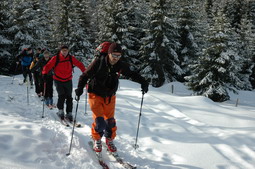 DSC_4185.JPG