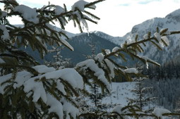 DSC_4196.JPG