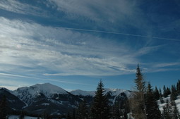 DSC_4203.JPG