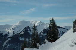 DSC_4217.JPG