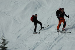 DSC_4220.JPG